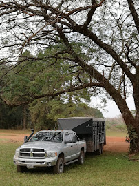 Caballo equilog